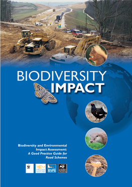 Biodiversity and Environmental Impact Assessment: a Good Practice Guide for Road Schemes