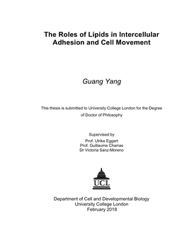 The Roles of Lipids in Intercellular Adhesion and Cell Movement