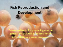 Fish Reproduction and Development