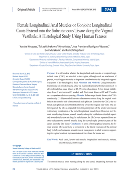 Female Longitudinal Anal Muscles Or Conjoint Longitudinal Coats Extend Into the Subcutaneous Tissue Along the Vaginal Vestibule