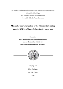 Molecular Characterization of the Fibronectin-Binding Protein BBK32 of Borrelia Burgdorferi Sensu Lato