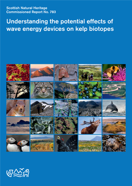 Understanding the Potential Effects of Wave Energy Devices on Kelp Biotopes