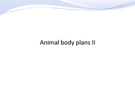 Animal Body Plans II Choanoflagellates Fungi Porifera (Sponges) Major Animal Animalia Multicellularity Ctenophora Phyla