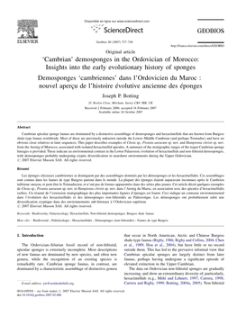 Demosponges in the Ordovician of Morocco