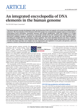 An Integrated Encyclopedia of DNA Elements in the Human Genome