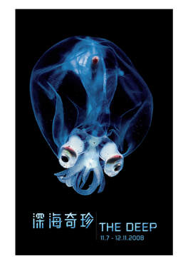 The Deep 1.Pdf