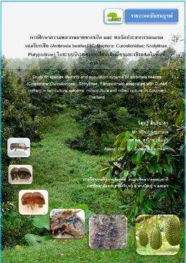 Ambrosia Beetles) (Coleoptera: Curculionidae; Scolytinae, Platypodinae) ในระบบนิเวศสวนทุเรียนเชิงเดีBยวและเชิง ผสมในพืEนทีBภาคใต้