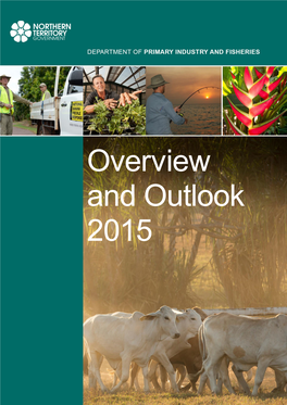 Overview and Outlook 2015