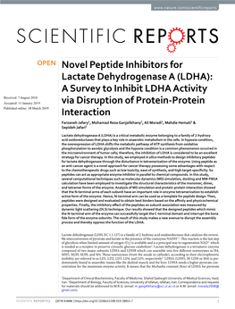 Novel Peptide Inhibitors for Lactate Dehydrogenase a (LDHA)