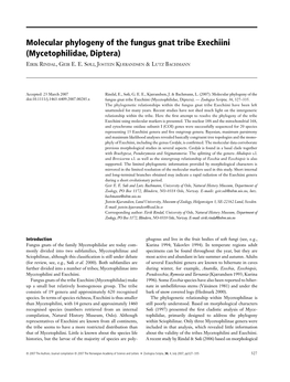 Molecular Phylogeny of the Fungus Gnat Tribe Exechiini (Mycetophilidae