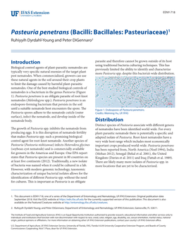 Pasteuria Penetrans (Bacilli: Bacillales: Pasteuriaceae)1 Ruhiyyih Dyrdahl-Young and Peter Digennaro2