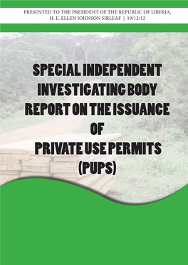 Special Independent Investigating Body Report on the Issuance of Private Use Permits (Pups)