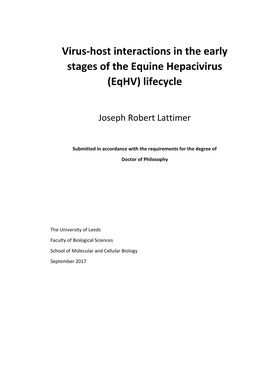 Virus-Host Interactions in the Early Stages of the Equine Hepacivirus (Eqhv) Lifecycle