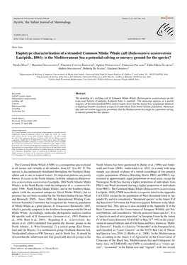 Haplotype Characterization of a Stranded Common Minke Whale Calf (Balaenoptera Acutorostrata Lacépède, 1804): Is the Mediterra