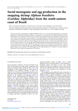 Social Monogamy and Egg Production in the Snapping Shrimp Alpheus