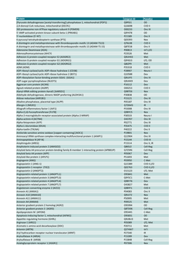 Uniprot ID Panel(S) [Pyruvate Dehydrogenase [Acetyl