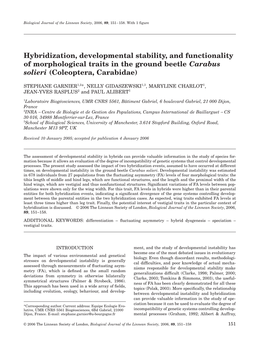 Hybridization, Developmental Stability, and Functionality of Morphological Traits in the Ground Beetle Carabus Solieri (Coleoptera, Carabidae)