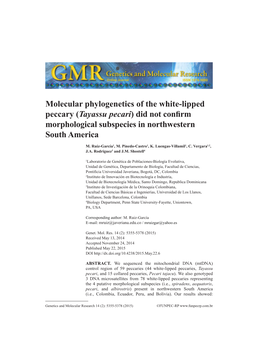 Molecular Phylogenetics of the White-Lipped Peccary (Tayassu Pecari) Did Not Confirm Morphological Subspecies in Northwestern South America