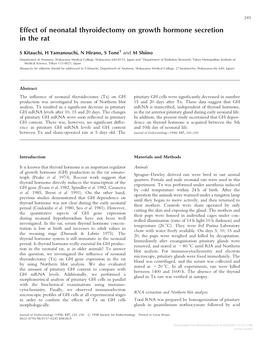 Effect of Neonatal Thyroidectomy on Growth Hormone Secretion in the Rat