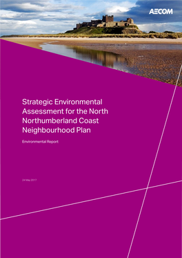 NN Coast SEA Environmental Report