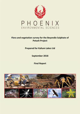 Flora and Vegetation Survey for the Beyondie Sulphate of Potash Project
