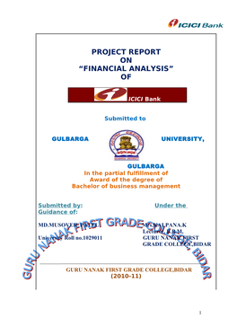 Financial Statements of Icici Bank”