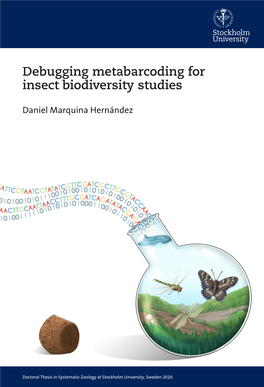 Debugging Metabarcoding for Insect Biodiversity Studies