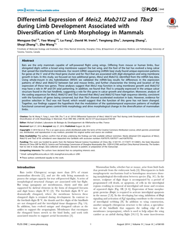 Differential Expression of Meis2, Mab21l2 and Tbx3 During Limb Development Associated with Diversification of Limb Morphology in Mammals
