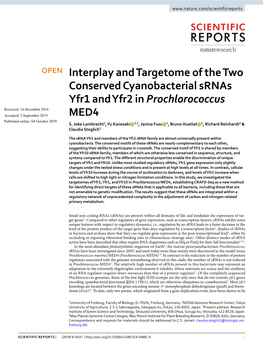 Interplay and Targetome of the Two Conserved Cyanobacterial Srnas