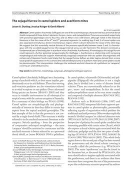 The Sejugal Furrow in Camel Spiders and Acariform Mites