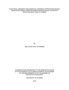 University of Florida Thesis Or Dissertation Formatting