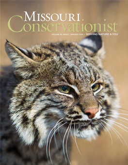 Missouri Conservationist January 2015 SUBSCRIPTIONS Phone: 573-522-4115, Ext