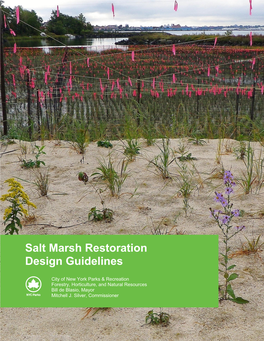 NYC Parks Salt Marsh Restoration Design Guidelines