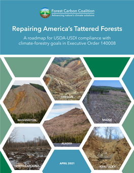 America's Tattered Forests Here