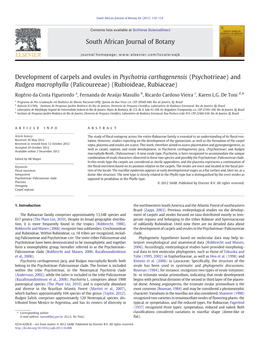 Development of Carpels and Ovules in Psychotria Carthagenensis (Psychotrieae) and Rudgea Macrophylla (Palicoureeae) (Rubioideae, Rubiaceae)