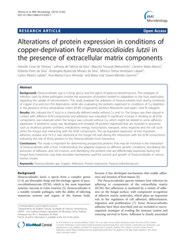 Alterations of Protein Expression in Conditions of Copper-Deprivation For