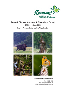 Poland: Biebrza Marshes & Bialowieza Forest