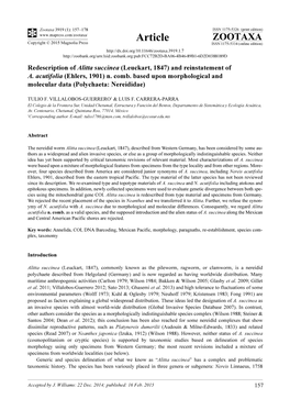 Redescription of Alitta Succinea (Leuckart, 1847) and Reinstatement of A