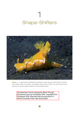 Shape-Shifters