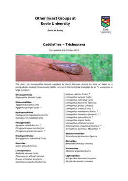 Other Insect Groups at Keele University