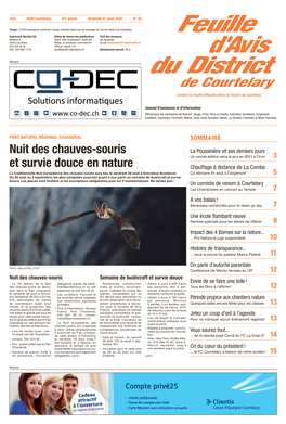 Nuit Des Chauves-Souris Et Survie Douce En Nature