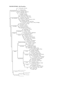 252 Avian Families