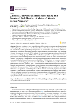 Galectin 13 (PP13) Facilitates Remodeling and Structural Stabilization of Maternal Vessels During Pregnancy