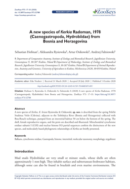 A New Species of Kerkia Radoman, 1978 (Caenogastropoda, Hydrobiidae) from Bosnia and Herzegovina