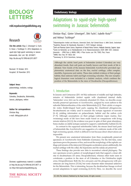 Adaptations to Squid-Style High-Speed Swimming in Jurassic Belemnitids