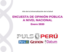 Pulso Perú 2019