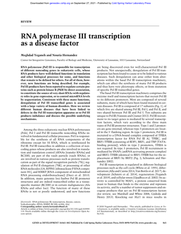 RNA Polymerase III Transcription As a Disease Factor