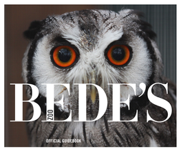 Download Our Bede's Zoo Guidebook
