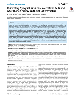 Respiratory Syncytial Virus Can Infect Basal Cells and Alter Human Airway Epithelial Differentiation