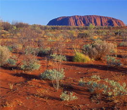 Old, Flat and Red—Australia's Distinctive Landscape